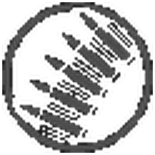 Canister Belt