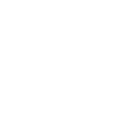 Perfect Allegro icon