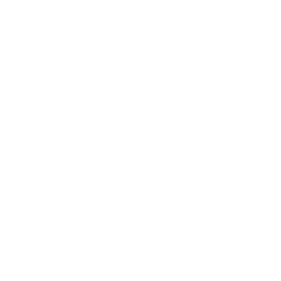 Boomerang icon