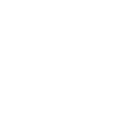 Brazen icon