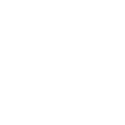 Finisher icon