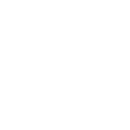 Frenzy icon