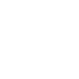 Ignited icon
