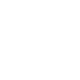 In Sync icon