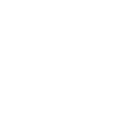 Measured icon