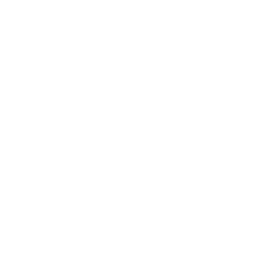 Naked icon