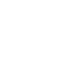 Overflowing icon