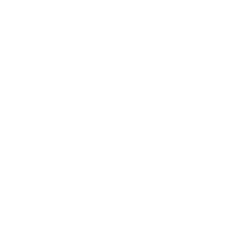 Overwhelm icon