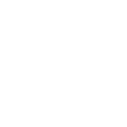 Perpetuation icon