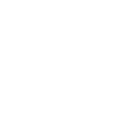 Precision Strike icon