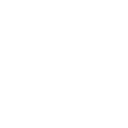 Pressure Point icon