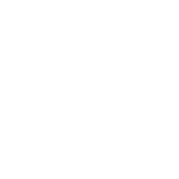Pummel icon