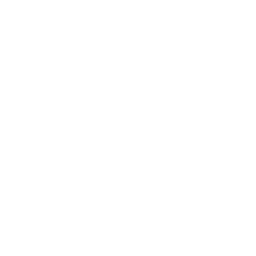 Reformation icon