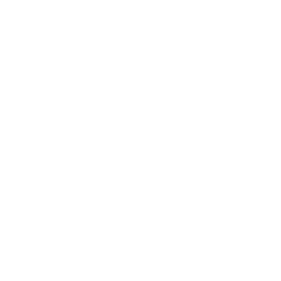 Sadist icon