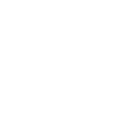 Salvage icon