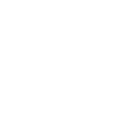 Spike icon