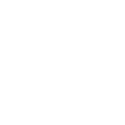 Steady Handed icon