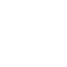 Vindictive icon
